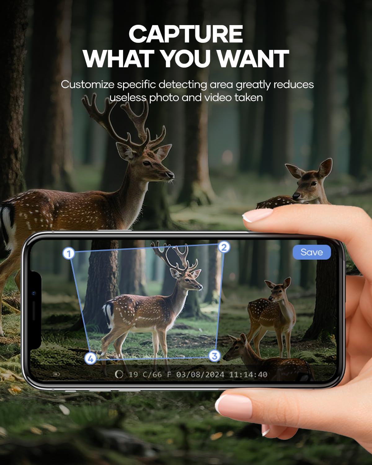 Assark trail camera 4K video sample delivers detailed daytime footage.