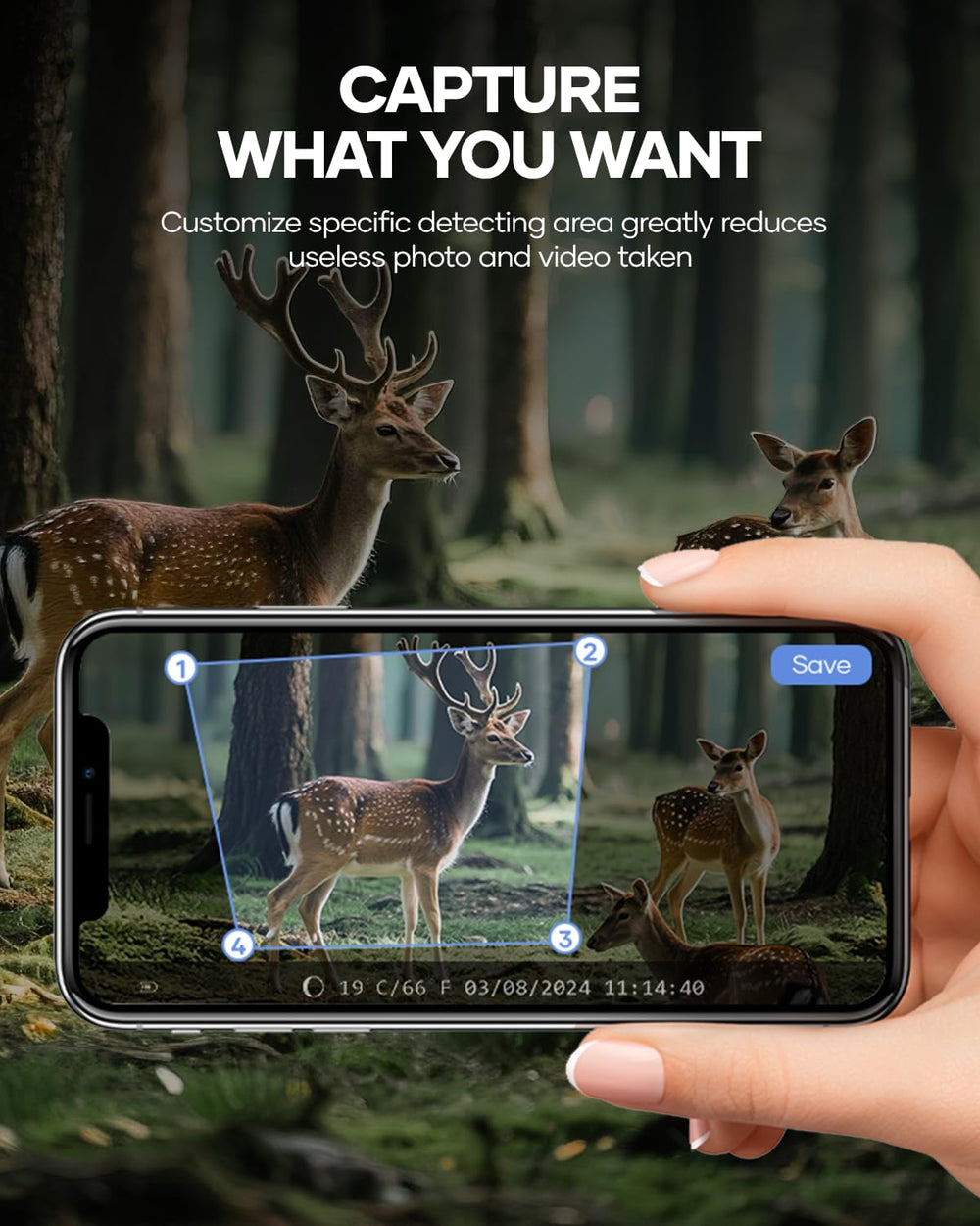 Assark trail camera 4K video sample delivers detailed daytime footage.