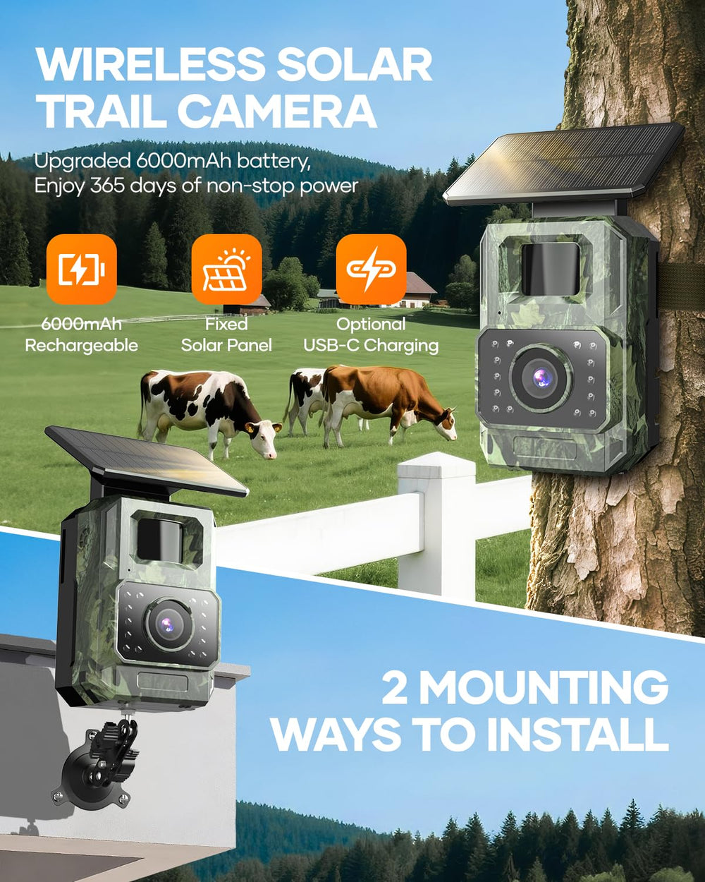 Assark Trail Camera night vision demonstrates clear nocturnal footage with minimal wildlife disturbance.