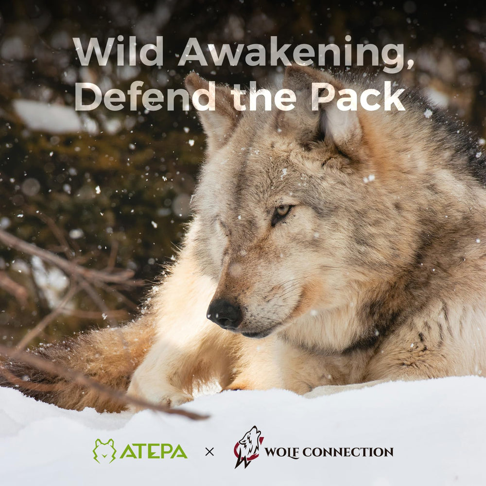 ATEPA bag packed in a backpack shows travel-friendly 3-season sleeping solution
