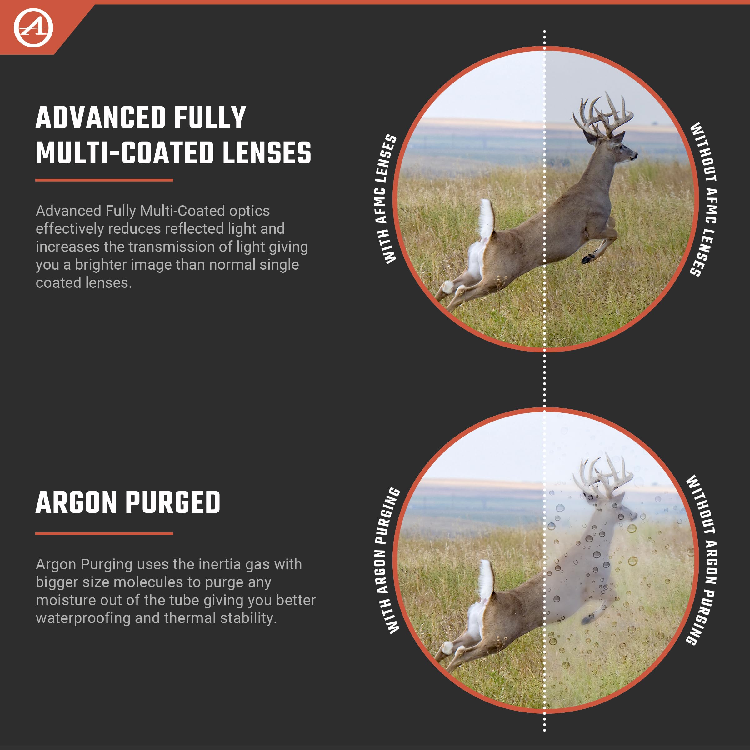 Birdwatching with Forerunner offers crisp field views of distant species.