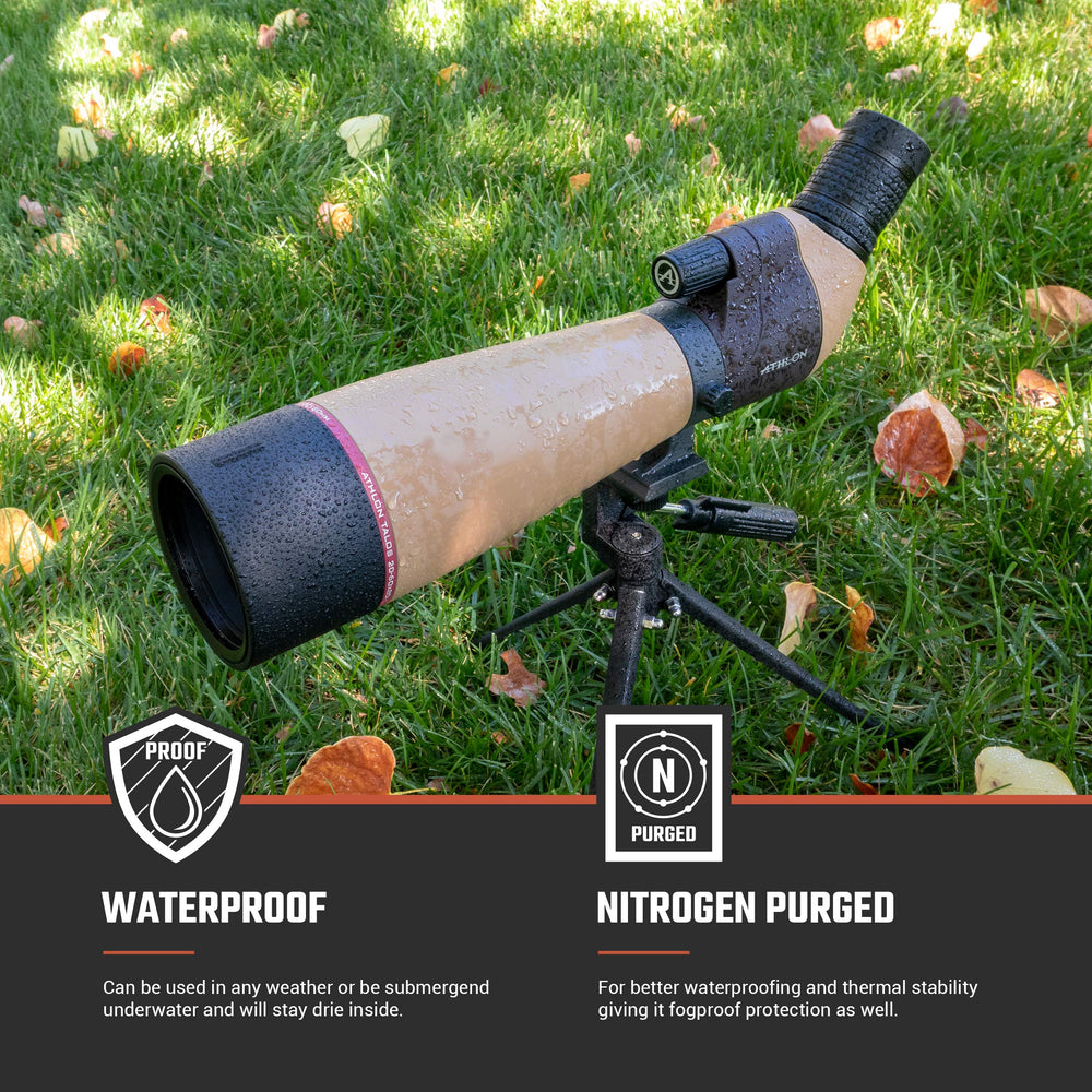 Athlon Optics Talos 20-60x80 in-field birdwatching scene showcases versatile magnification.