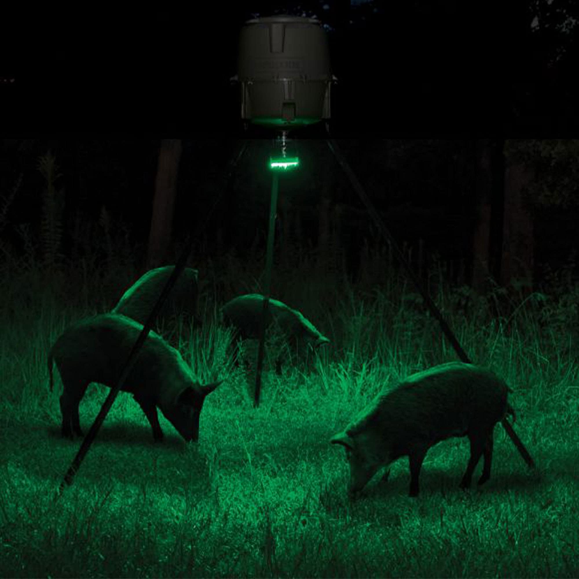 Mounting strap attachment on a feeder for Hog Light