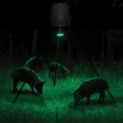 Mounting strap attachment on a feeder for Hog Light
