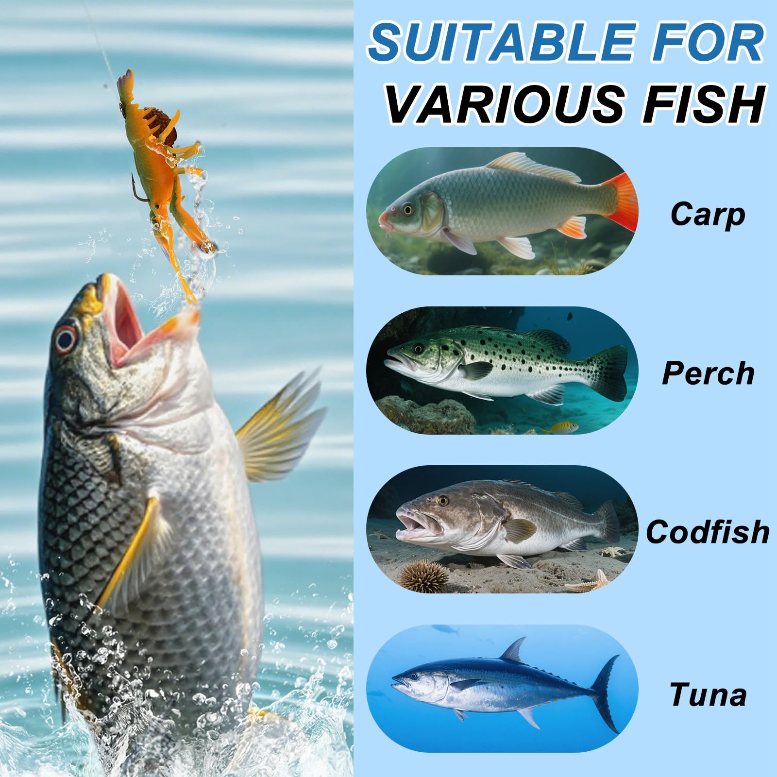 AuMoHall versatile lure for freshwater and saltwater angling.