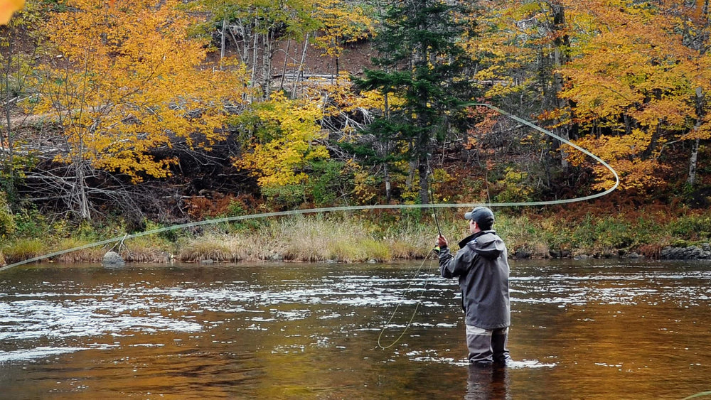 Oregon-based fly tying shop – Ausable Wulff dry flies size 14