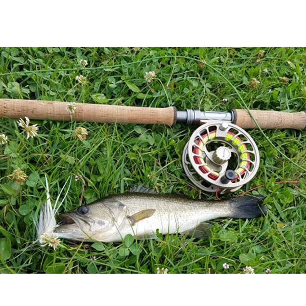 Saltwater and large freshwater fly suitability with WF12F line
