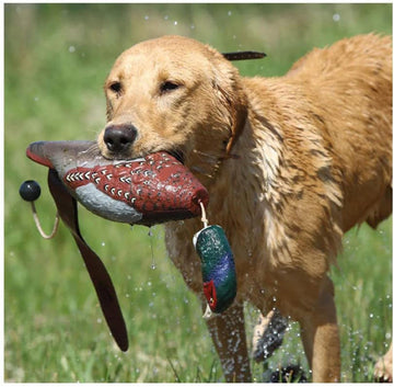 Avery EZ-Bird soft floating body for water and land training.