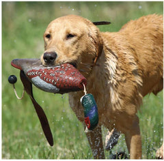 Avery EZ-Bird soft floating body for water and land training.