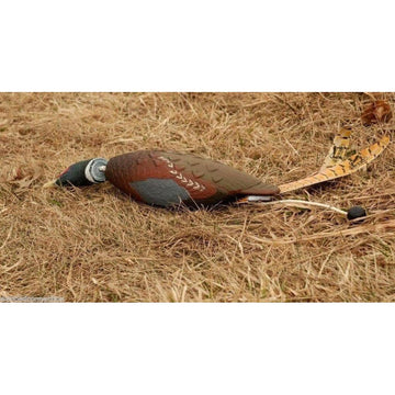 Avery EZ-Bird weighted for long throws to boost training distance.