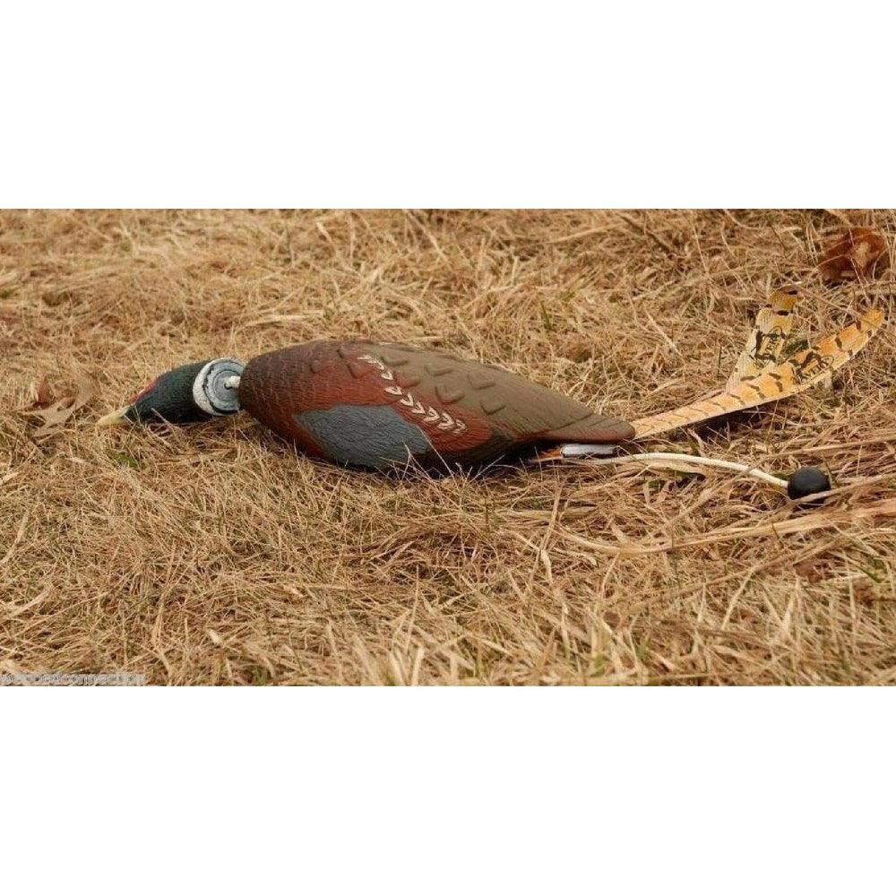 Avery EZ-Bird weighted for long throws to boost training distance.