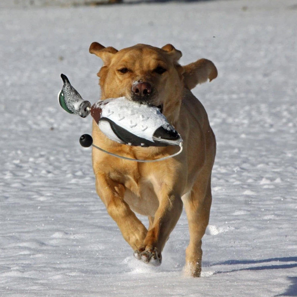 Avery EZ-Bird Wigeon durable PVC construction withstands tough sessions.