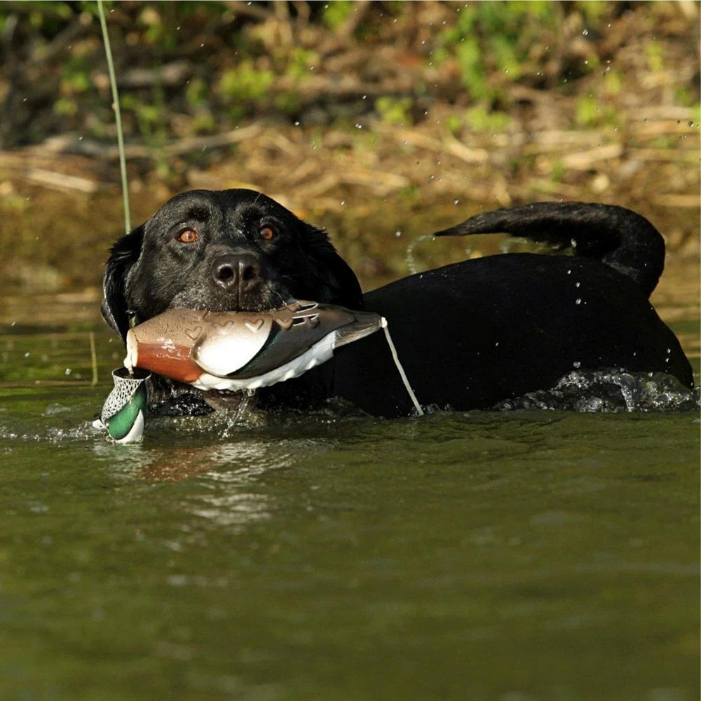 Avery EZ-Bird Wigeon with patented VGrip for secure retrieves.