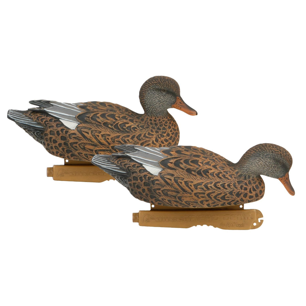Avery Gadwall Hen surface feeder adds varied silhouettes.