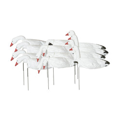 Avery GHG windsock decoy with 3D painted heads for realistic snow goose attraction in field setups.