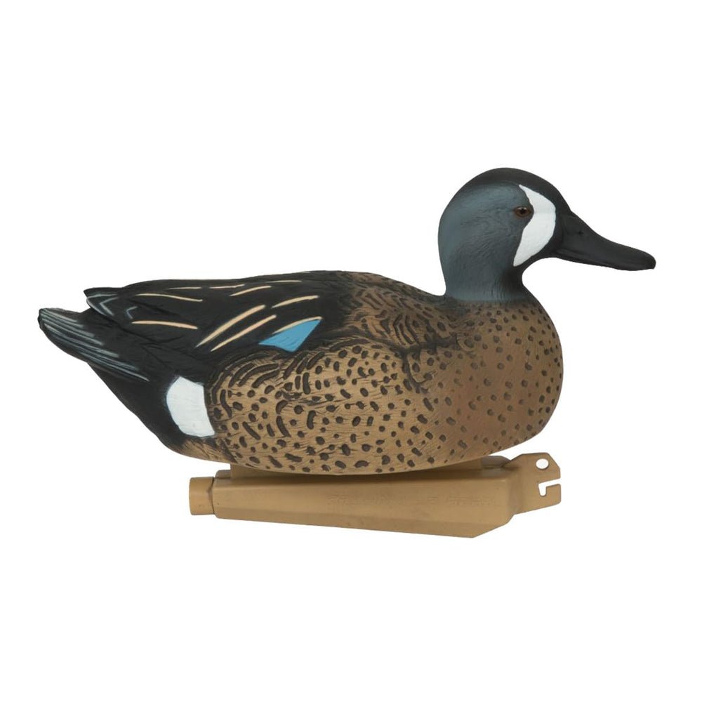 Avery GHG teal spread view demonstrates a natural-looking habitat and gathering dynamics.