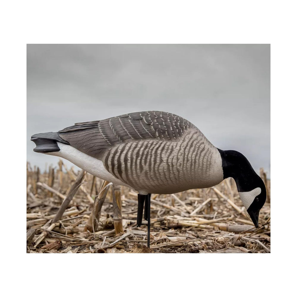 Avery GHG Hunter Canada Feeder with flocked heads provides durable, weather-ready decoy setup