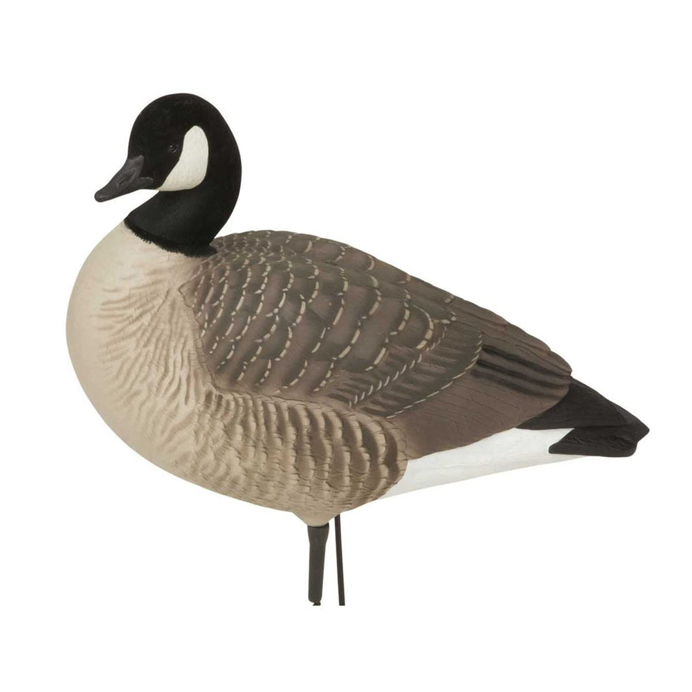 Avery GHG Hunter Series Canada Harvester detailed body feathers for lifelike field realism.