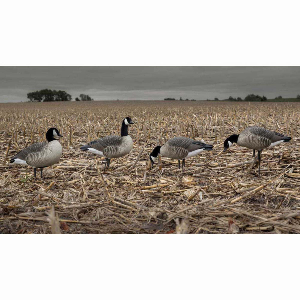 Avery GHG Hunter Series Canada Harvester flocked heads close-up for durable, break-resistant use.