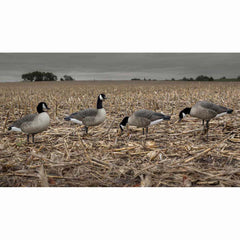 Avery GHG Hunter Series Canada Harvester flocked heads close-up for durable, break-resistant use.