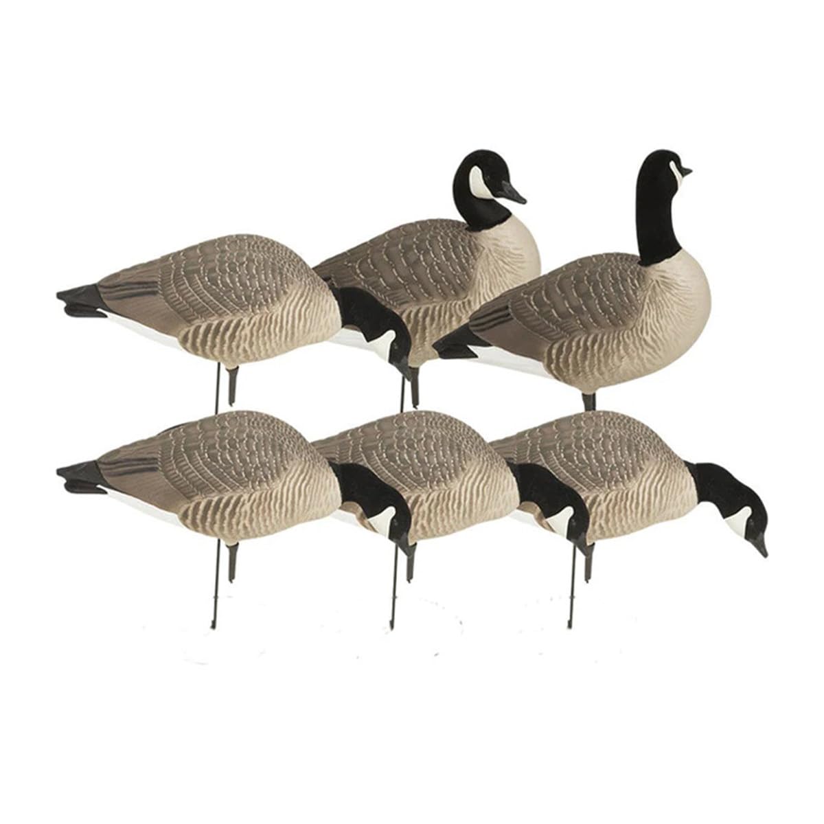 Avery GHG Hunter Series Canada Harvester full-body decoy, front view, encourages geese to land.