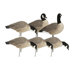 Avery GHG Hunter Series Canada Harvester full-body decoy, front view, encourages geese to land.