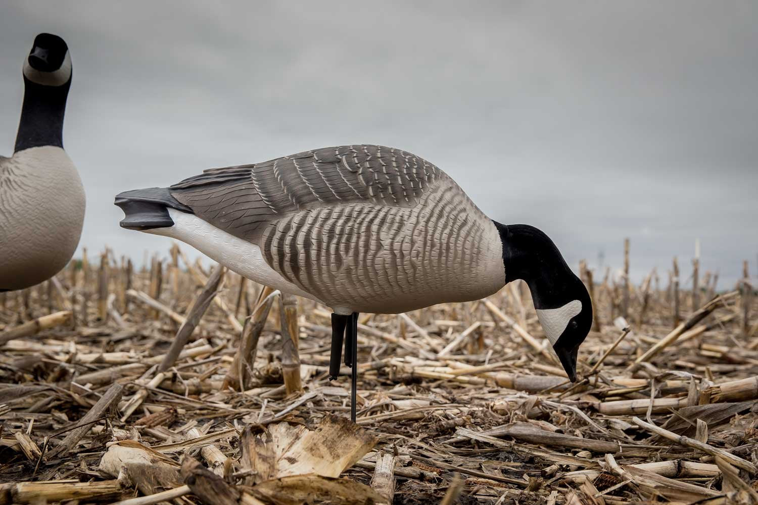 Avery GHG Hunter Series durable paint finish withstands weather and UV exposure.