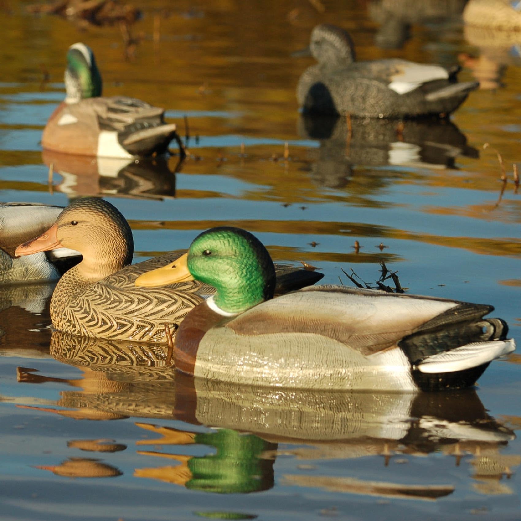 Avery GHG Hunter Mallard decoy 60/40 Dura-Keel delivers steady, natural water motion.