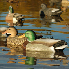 Avery GHG Hunter Mallard decoy 60/40 Dura-Keel delivers steady, natural water motion.