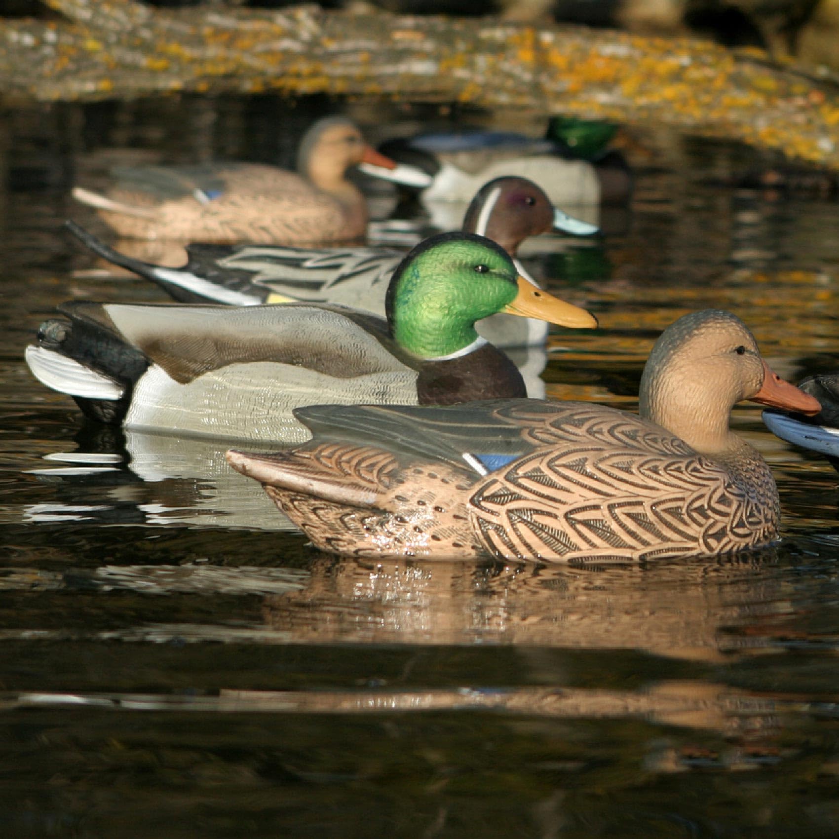 Avery GHG Hunter Mallard decoy standard hen completes a natural flock look.