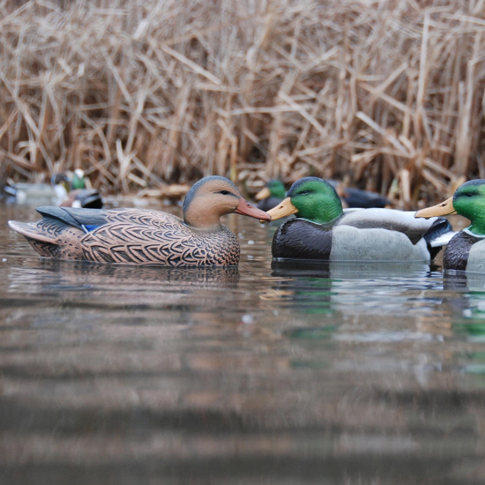 Avery GHG Hunter Mallard decoy water-scene shows a convincing spread for mobile setups.