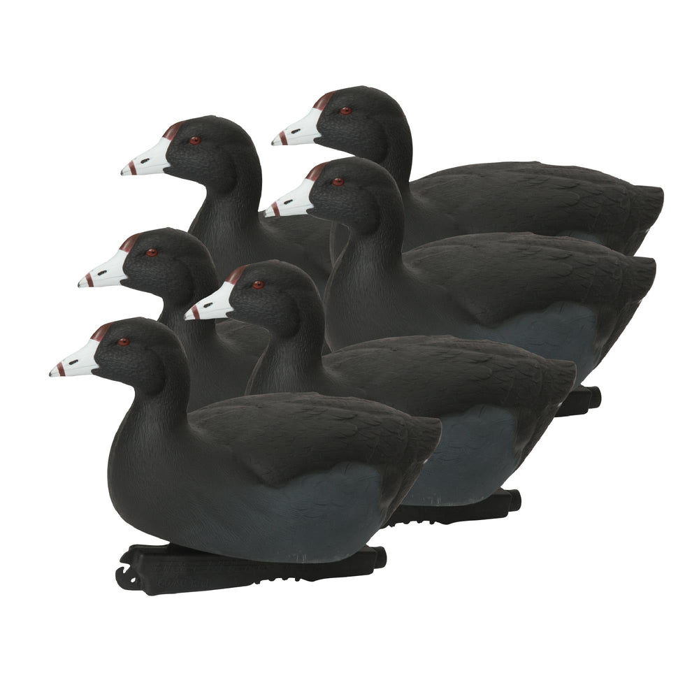 Avery GHG Hunter Series over size coot duck decoy on water boosts spread realism
