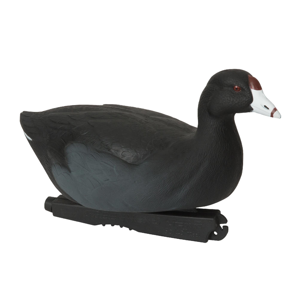 Avery over size coot decoy among reeds to increase visibility in the spread