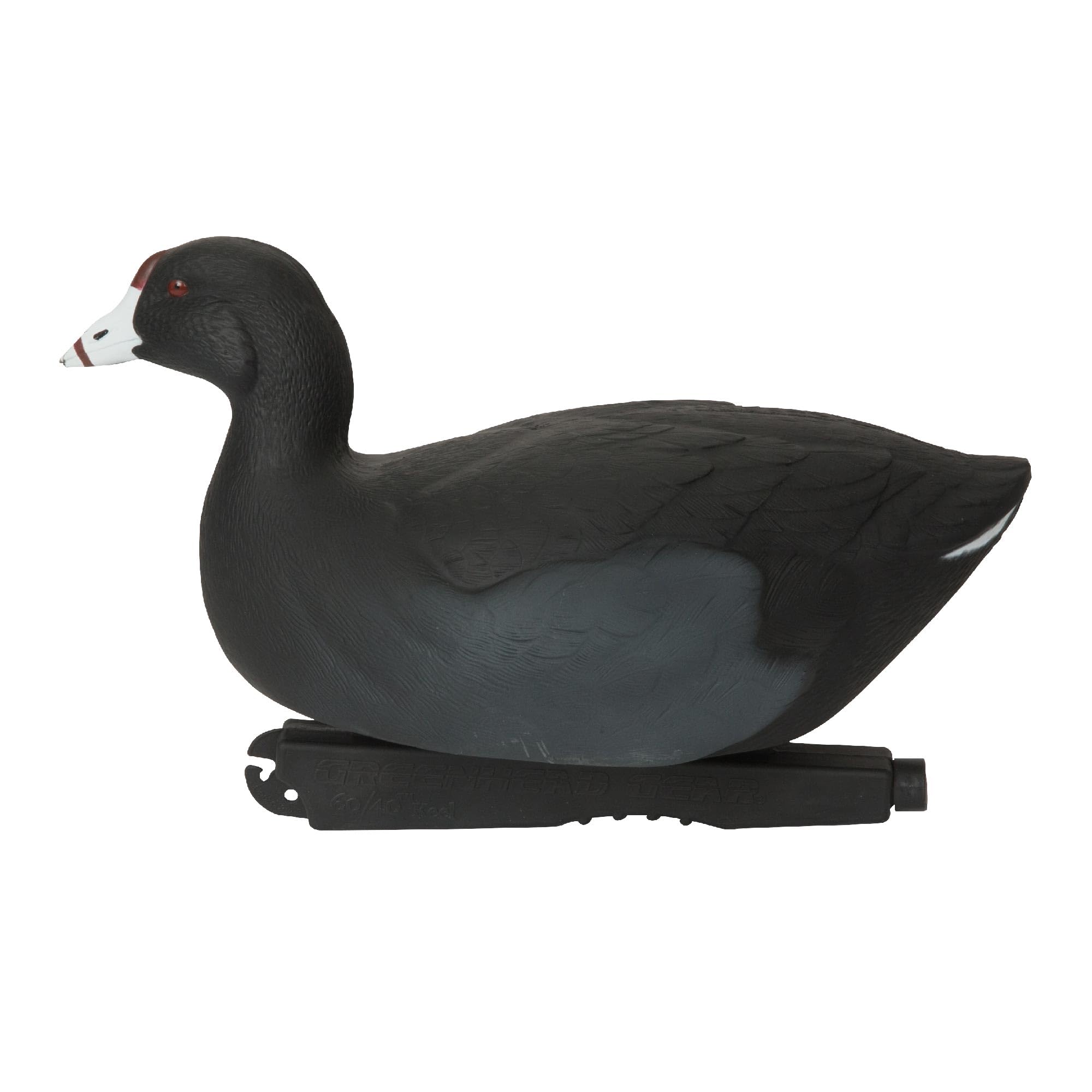 Avery six pack coot decoys offers affordable spread enhancement