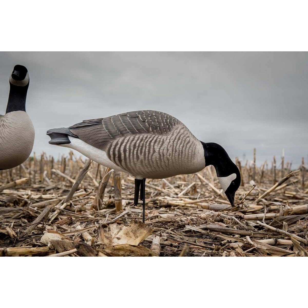 Avery GHG Hunter Series RealMotion stakes in use for subtle wind-driven motion.