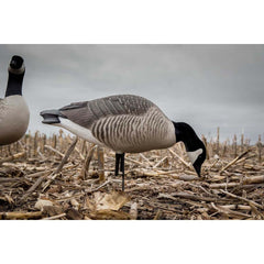 Avery GHG Hunter Series RealMotion stakes in use for subtle wind-driven motion.