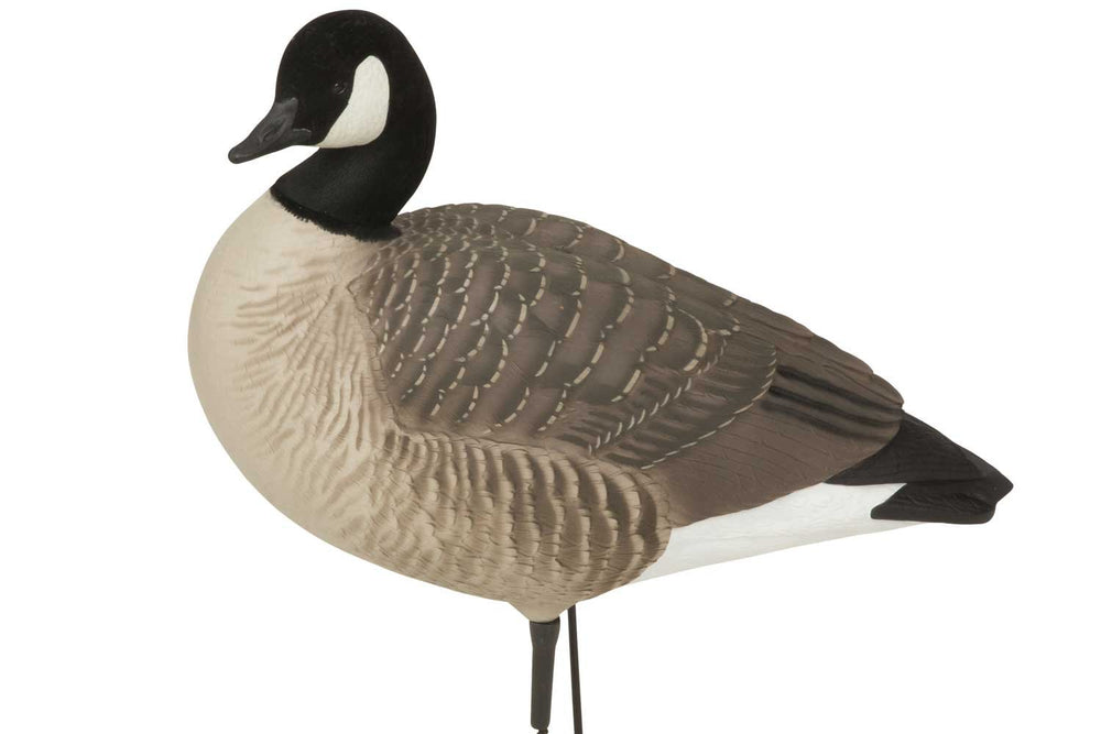 Avery GHG Hunter Series rester decoy with flocked head adds realistic resting posture.