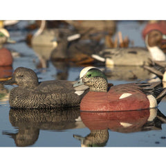 Avery GHG Hunter Series Wigeon detailed paint schemes enhance lifelike appearance