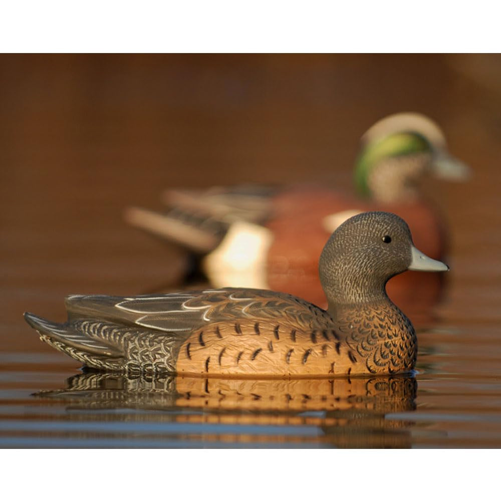 Avery GHG Hunter Series Wigeon durable polyethylene decoys withstand rugged hunts