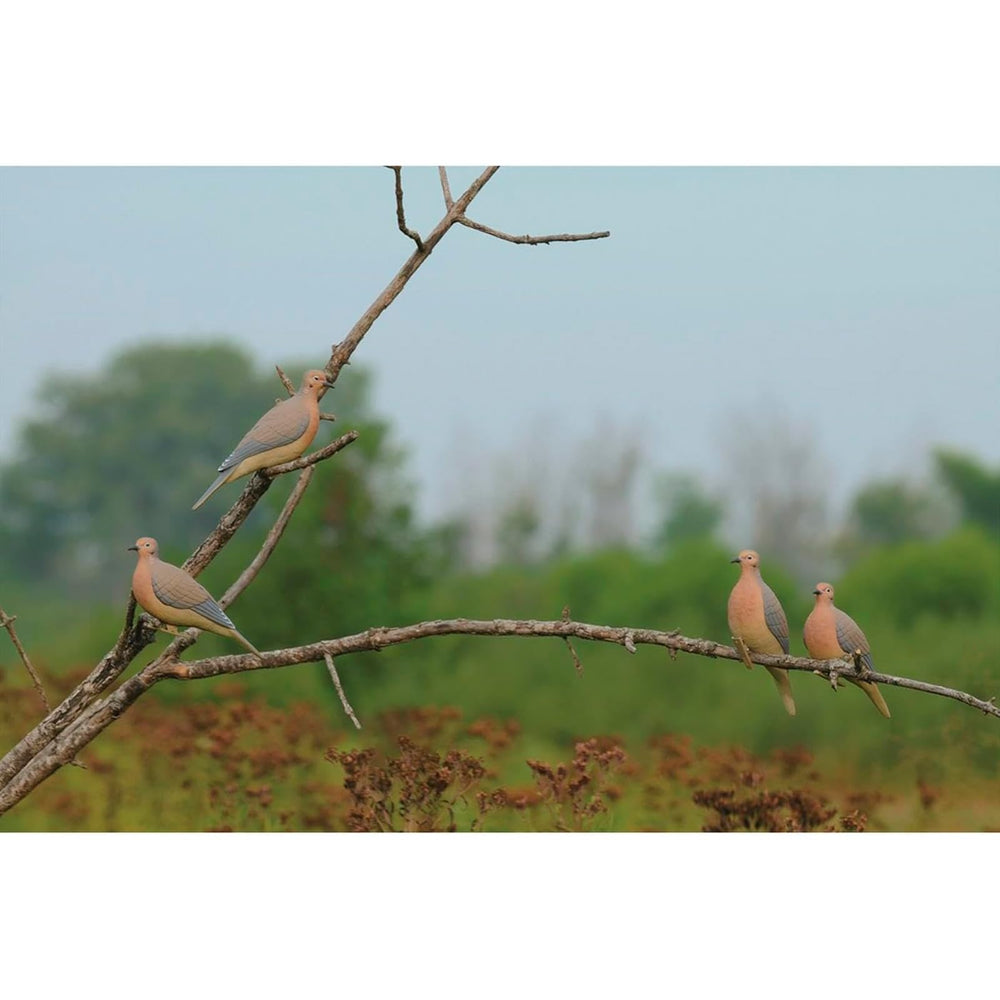 Avery GHG Mourning Dove Decoy feather-light weight enables subtle wind motion.