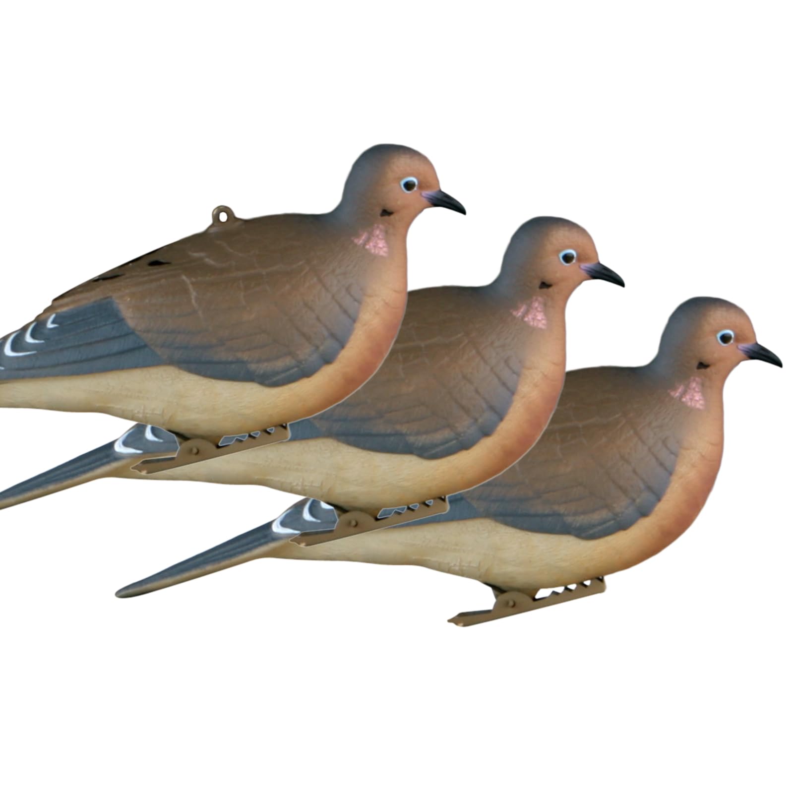 Avery GHG Mourning Dove Decoy perching pose adds natural variety for convincing setups.