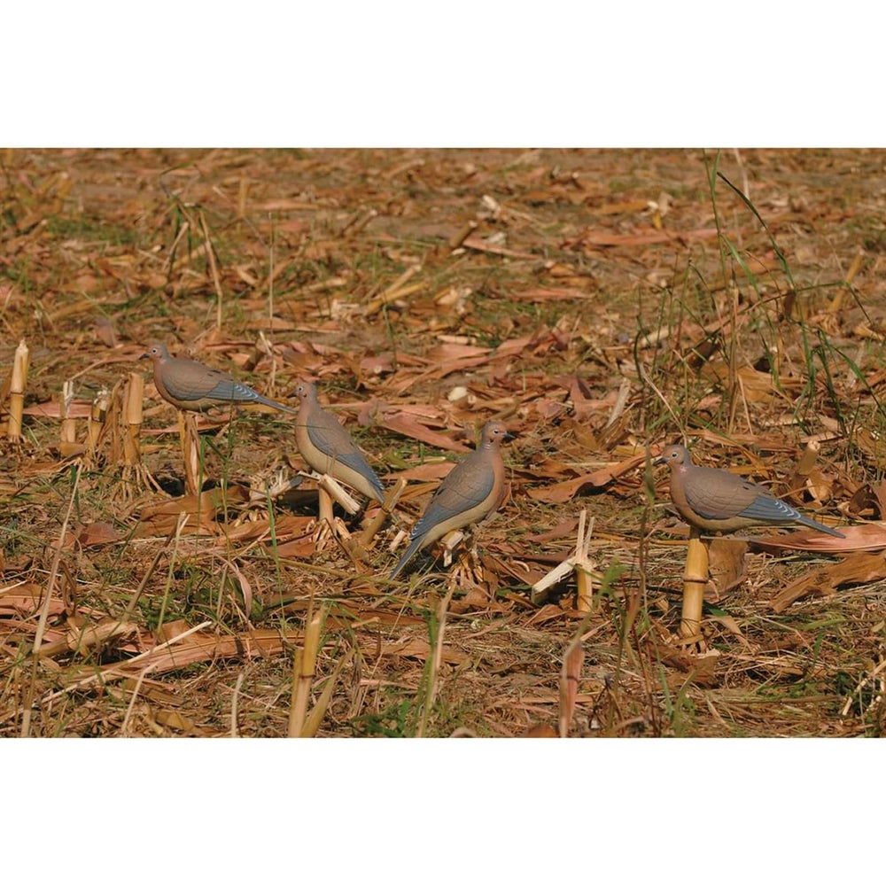 Avery GHG Mourning Dove Decoy perching close-up shows authentic perch look.