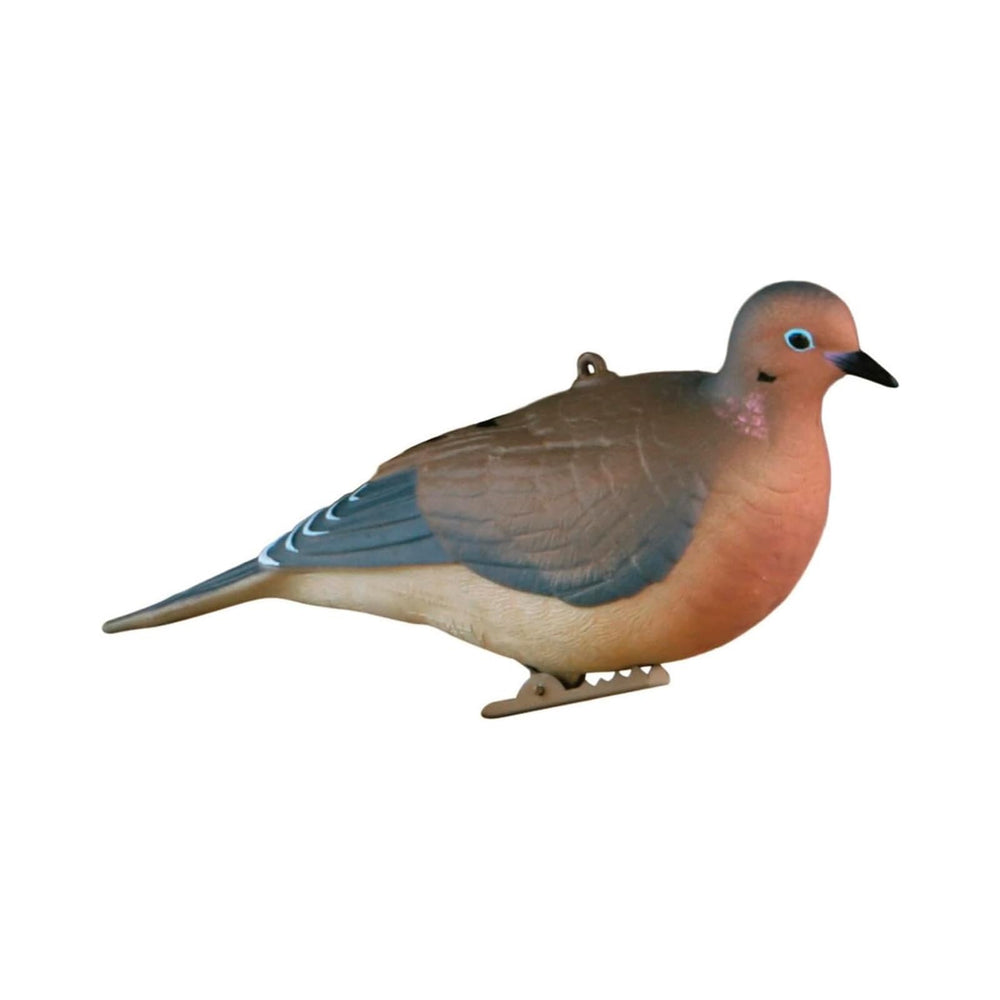 Avery GHG Mourning Dove Decoy perching stance on a branch for lifelike flock invitations.