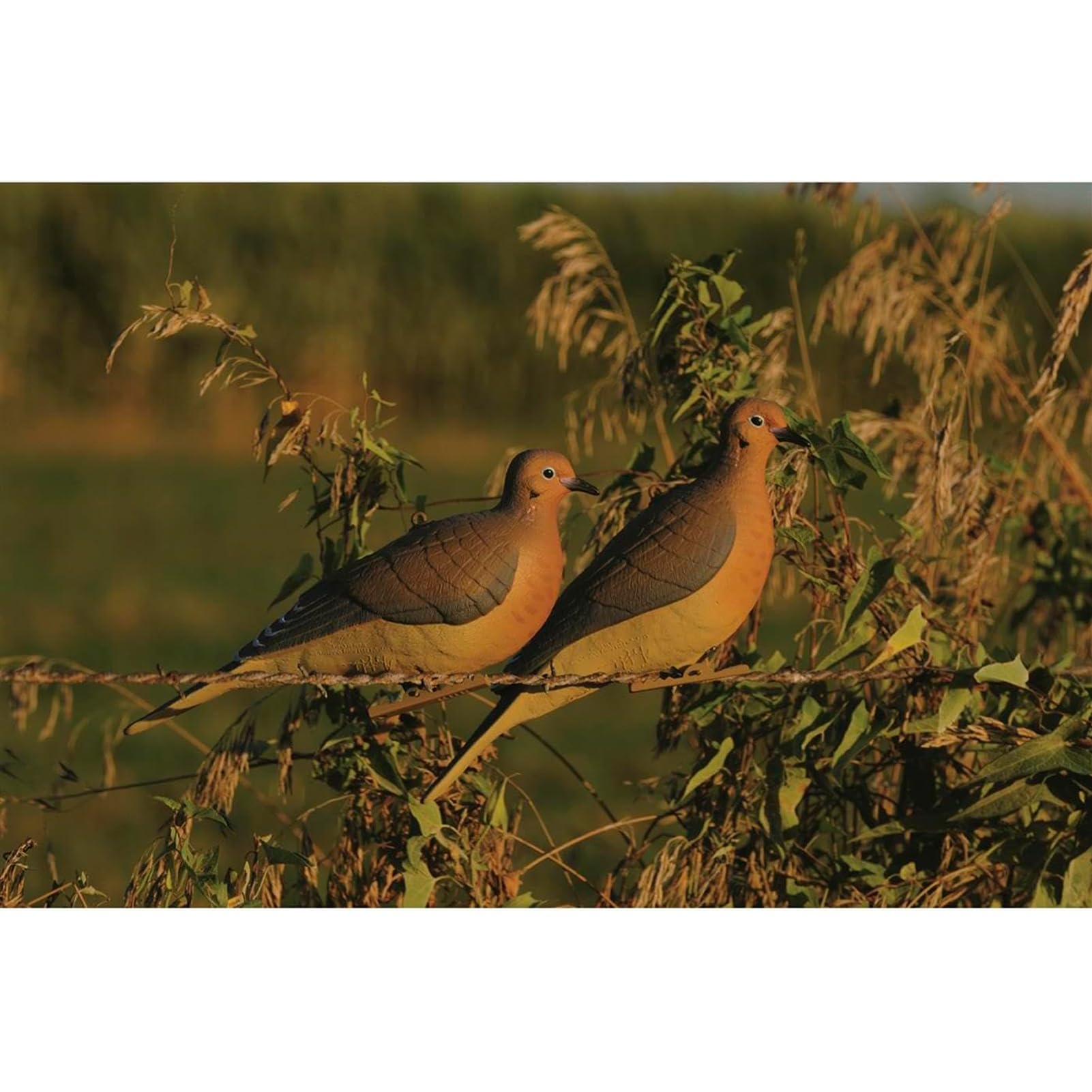 Avery GHG Mourning Dove Decoy pinch-clip system for quick secure placement.