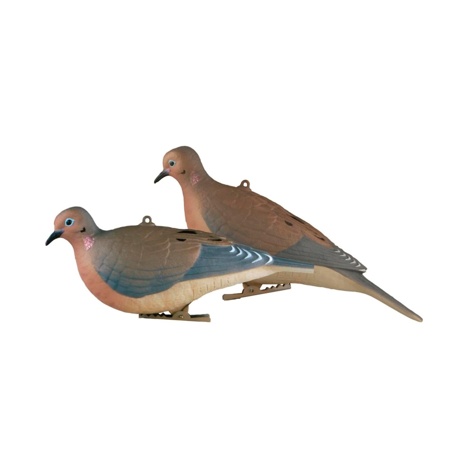 Avery GHG Mourning Dove Decoy resting pose on a field stake to attract passing doves.