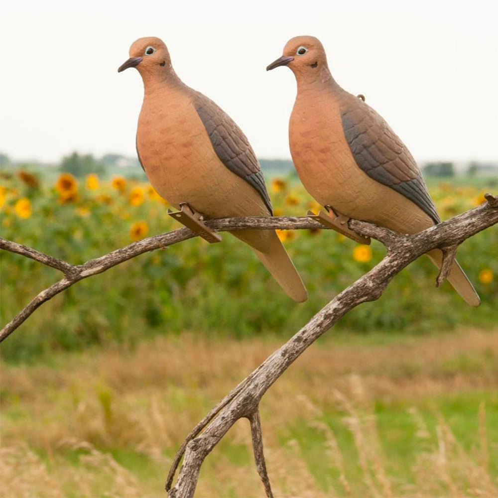 Avery GHG Mourning Dove Decoy rest and perching pose kit improves visibility from distance.