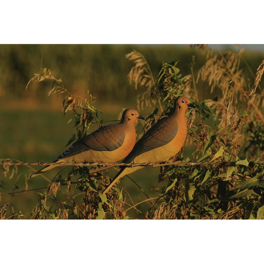 Avery GHG Mourning Dove Decoys 2-pack offer versatile options for varied hunting scenarios.