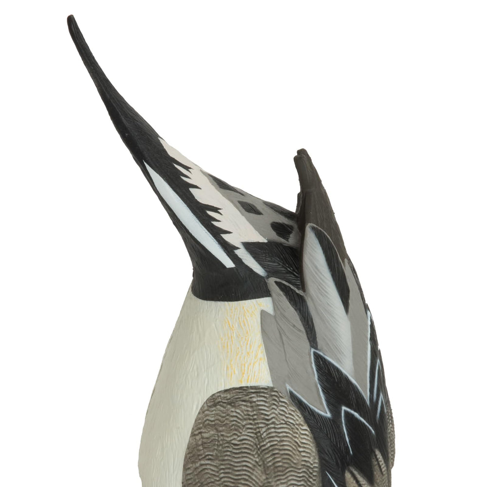 Avery GHG bottom-up pintail decoys built for durable field use