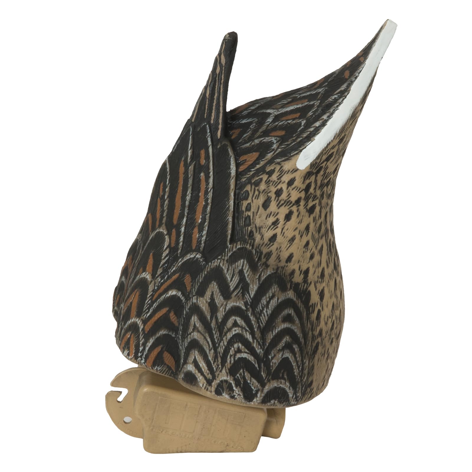 Avery GHG pintail butt-up hen decoy adds natural feeding visuals to your spread