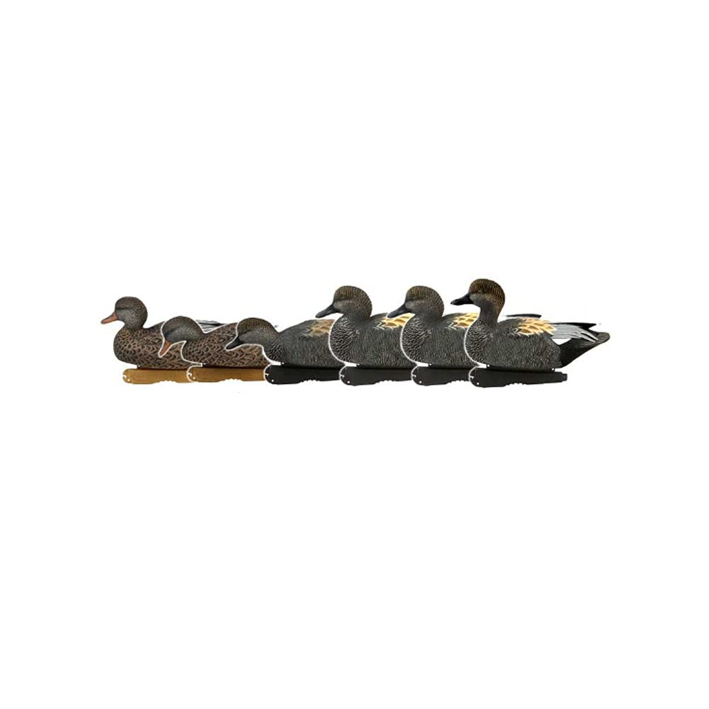 Avery GHG Gadwall decoys 6-pack creates a lifelike flock for realistic setups.
